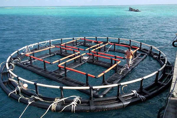 深海奇跡、水下牧場：探索深海養魚網箱在水產養殖中的新可能